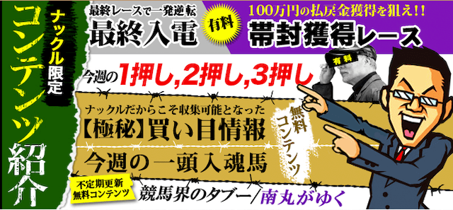 競馬ナックル特徴