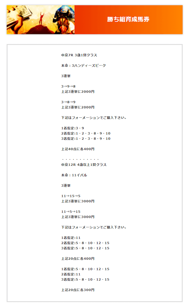 カチウマの勝ち組育成馬券の買い目