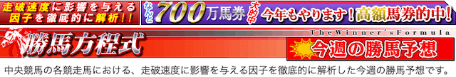 勝馬方程式とは