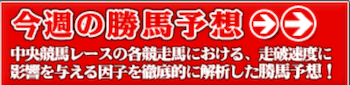 勝馬方程式買い目の購入方法