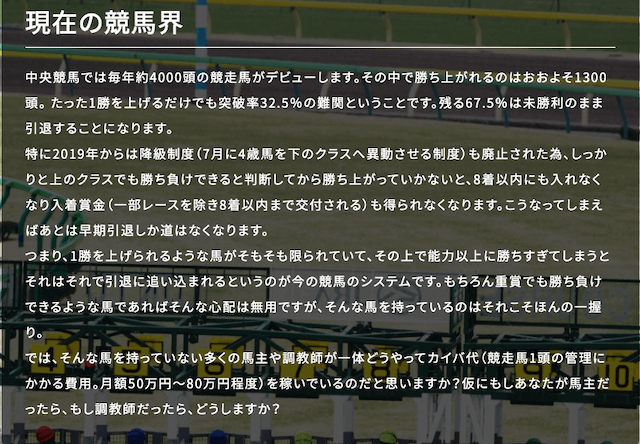 NN競馬会の特徴