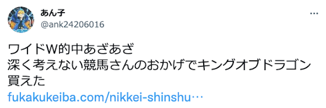 ワイドW的中あざあざ 深く考えない競馬さんのおかげでキングオブドラゴン買えた