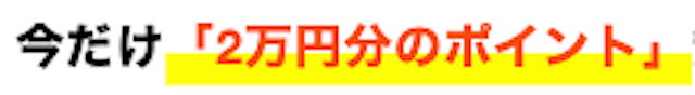 うまキング「今だけ2万円分のポイント」