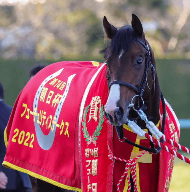 朝日杯勝利後のドルチェモア