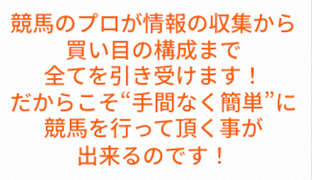 ポジション「競馬のプロが情報の収集から買い目の構成まで全て引き受けます！だからこそ手間なく簡単に競馬を行っていただくことが出来るのです」