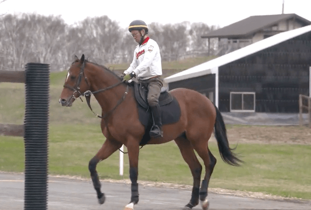 競走馬ルシュヴァルドール