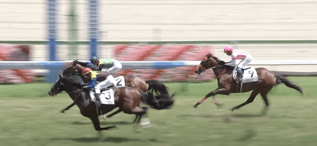 新馬戦を制したインビジブルセルフ