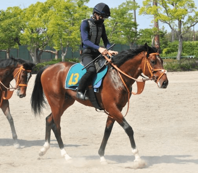 競走馬ダノンエアズロック