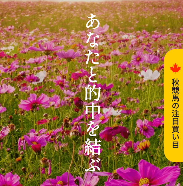 競馬予想サイト「縁」のトップ