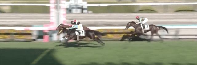 競走馬ストーンズの新馬戦