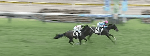 新馬戦を勝利したカンティアーモ