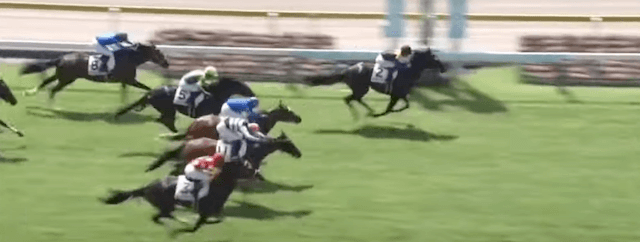 2023年8月5日の新潟1Rを勝利したラケダイモーン