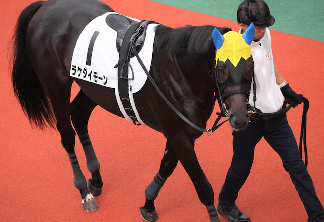 競走馬ラケダイモーン
