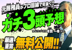 的中ファーム「元厩務員がプロ目線で見抜く！」