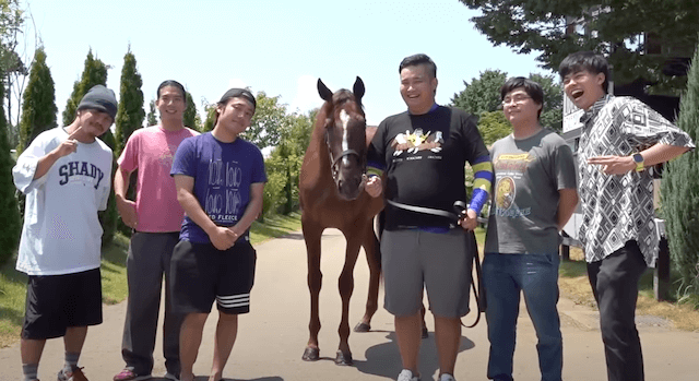 フィッシャーズと競走馬ワンダホー