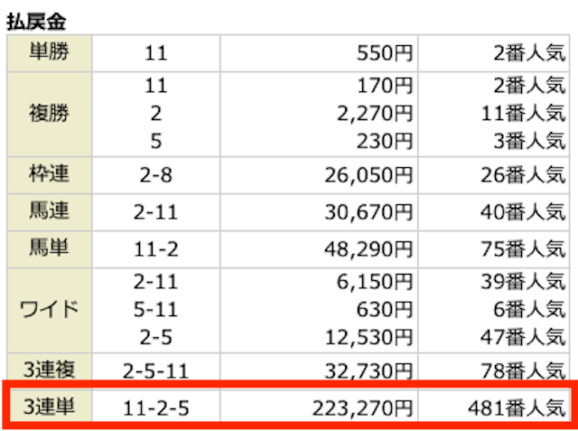 11-2-5、223,270円、481番人気。