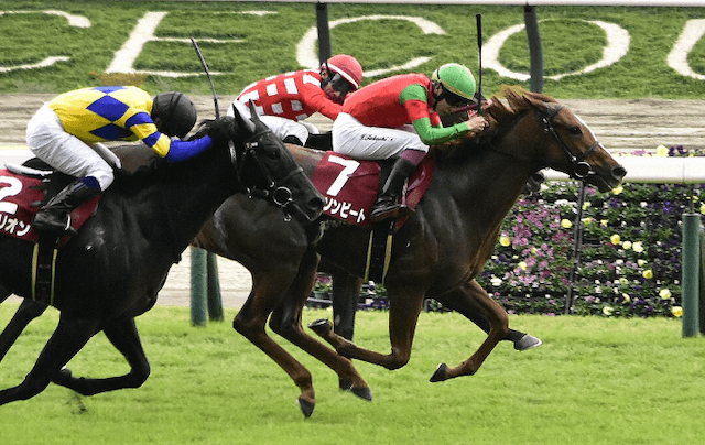 競走馬コラソンビート