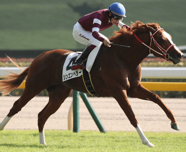 競走馬シンエンペラー