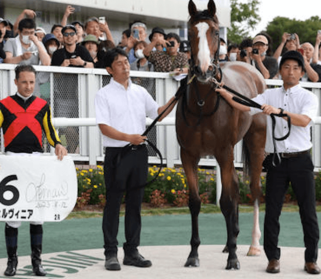 競走馬チェルヴィニア