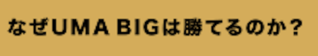 UMABIG「なぜUMA BIGは勝てるのか」