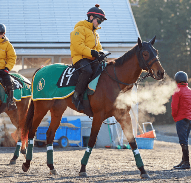 競走馬ベラジオボンド