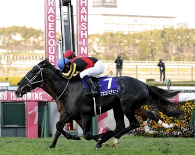 競走馬アスコリピチェーノ