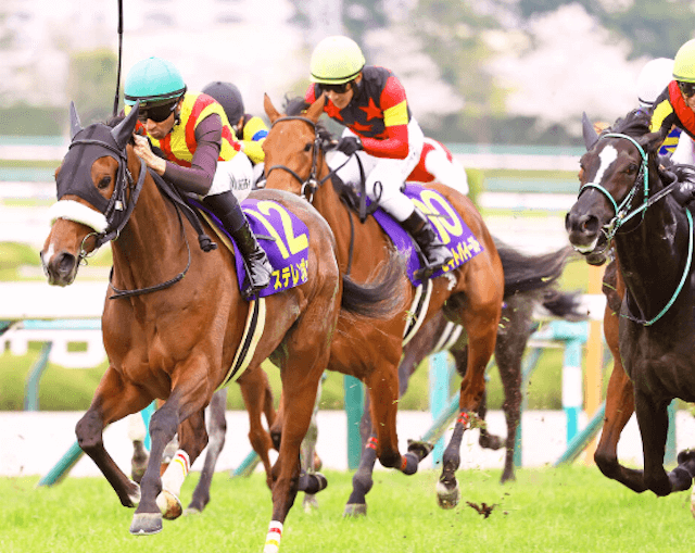 競走馬ステレンボッシュ