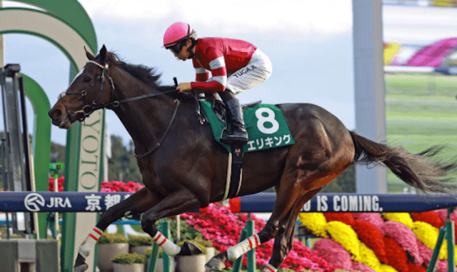 ダービー馬を目指すエリキングについてのまとめ