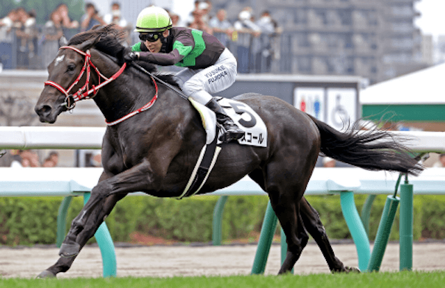キングスコールはG1馬になることができるのかのまとめ