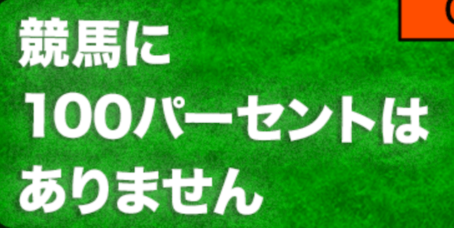 元調教師とのつながりを活かして精度の高い予想を提供！