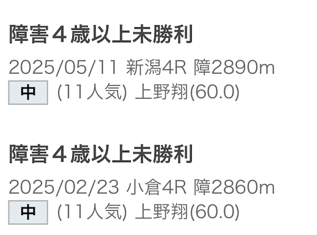 レース途中で中止になった馬の画像