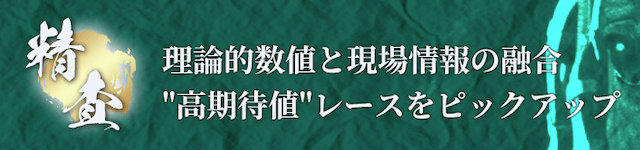 本命「理論的数値と現場情報の融合。高期待値レースをピックアップ。」