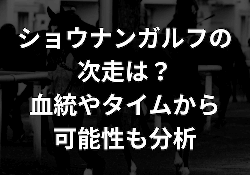 ショウナンガルフの次走情報