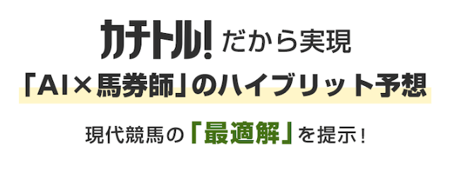 AIだけに頼らない！経験者にしか分からない見解も交え、最適な買い目を提供するサイト