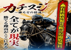 競馬予想サイト「カチスジ」
